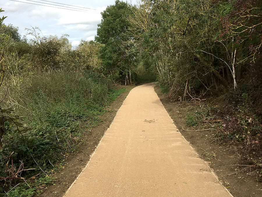 A wide, paved pathway between two rows of trimmed trees.