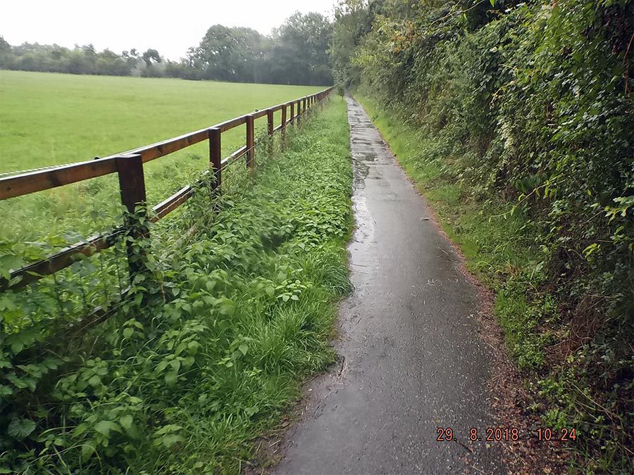 A country path with a narrow pavement being encroached upon by foliage.